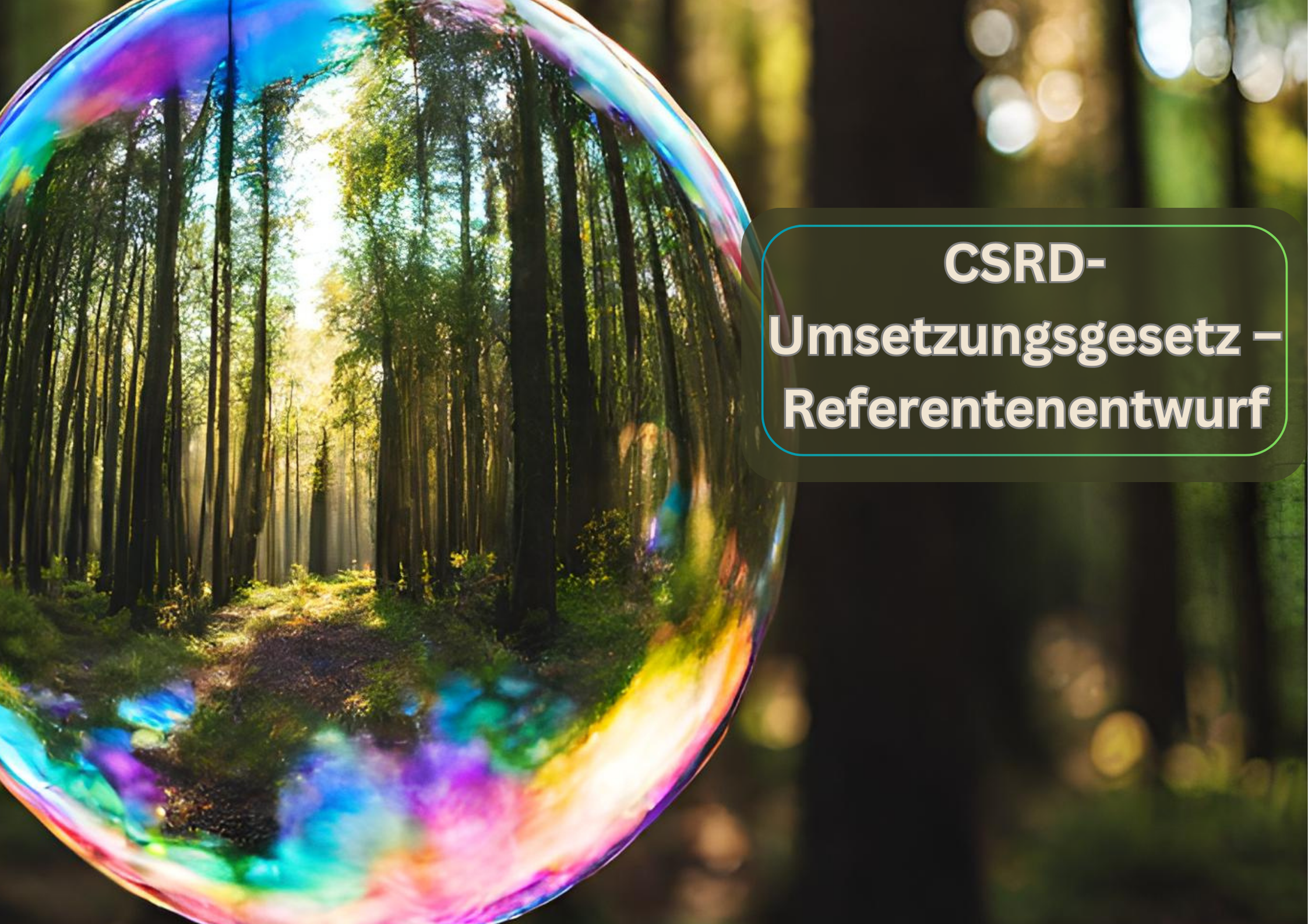 CSRD-Umsetzungsgesetz – Referentenentwurf vom 22. März 2024 (2)