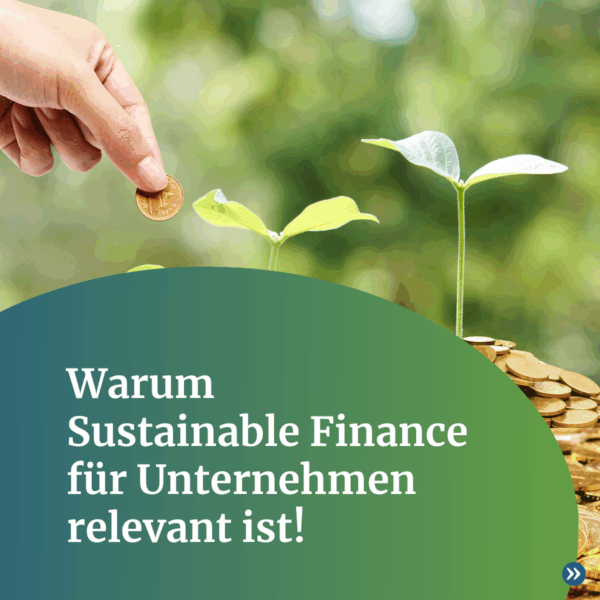 Ein Foto einer aufgehenden Pflanze die aus einem Haufen goldener Münzen herauswächst. Davor der Text: Warum Sustainable Finance für Unternehmen relevant ist!. Der Text ist in weißer Schrift und mit einem grünen Halbkreis hinterlegt.