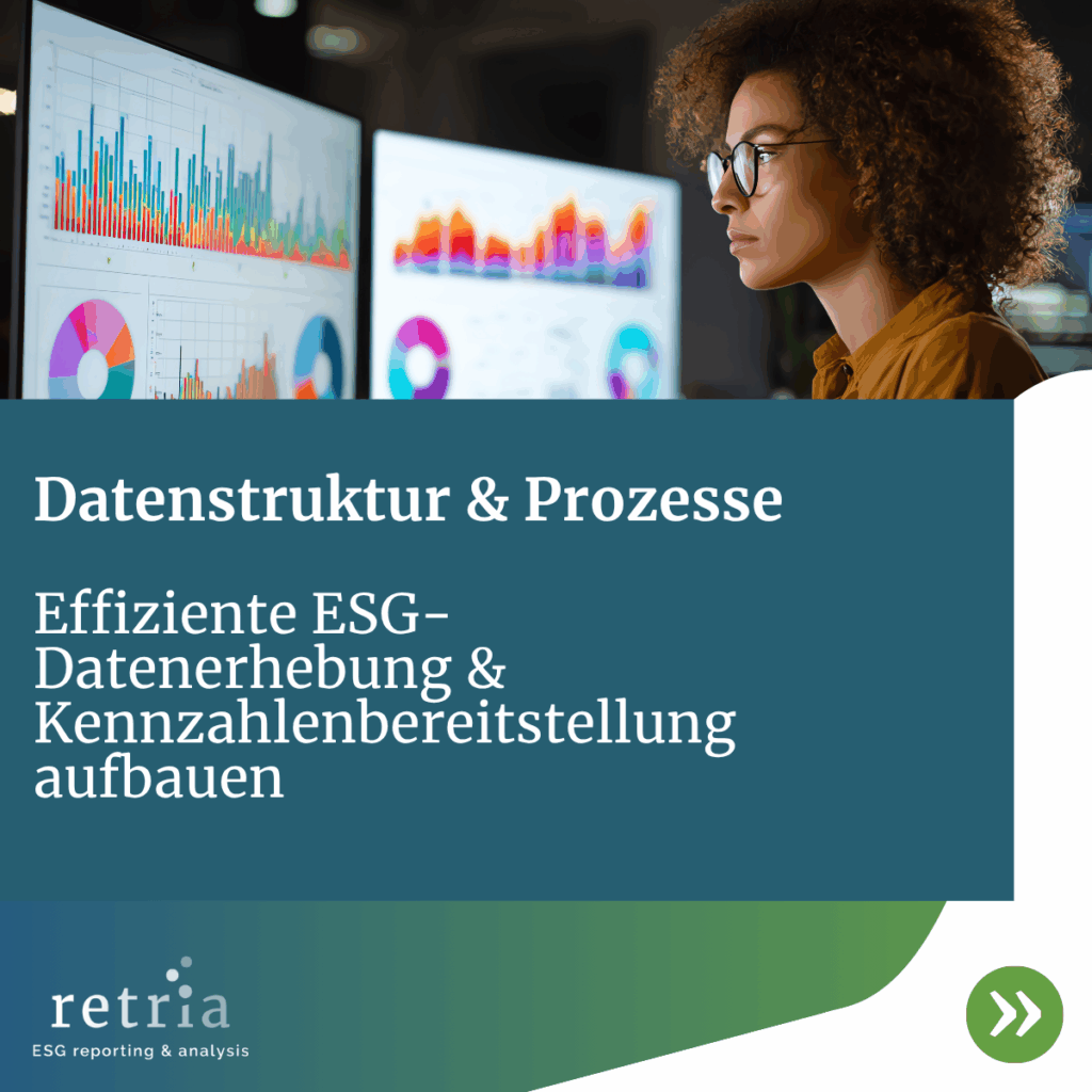 ESG-Datenanalyse am Monitor – Fokus auf effiziente Datenstrukturen und Kennzahlenbereitstellung