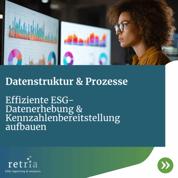 ESG-Datenanalyse am Monitor – Fokus auf effiziente Datenstrukturen und Kennzahlenbereitstellung