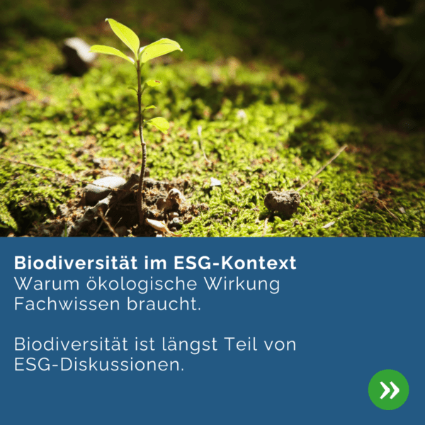 Junger Pflanzentrieb wächst auf moosbedecktem Boden – Symbol für Biodiversität im ESG-Kontext.